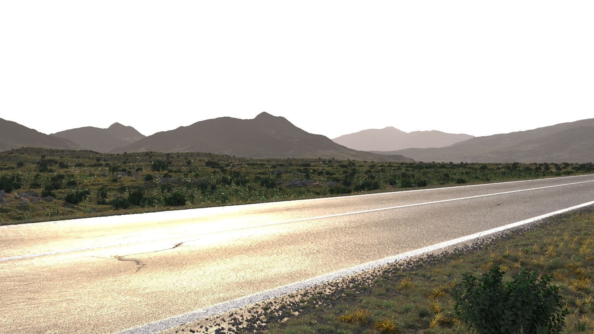 Field road production 3D model_3