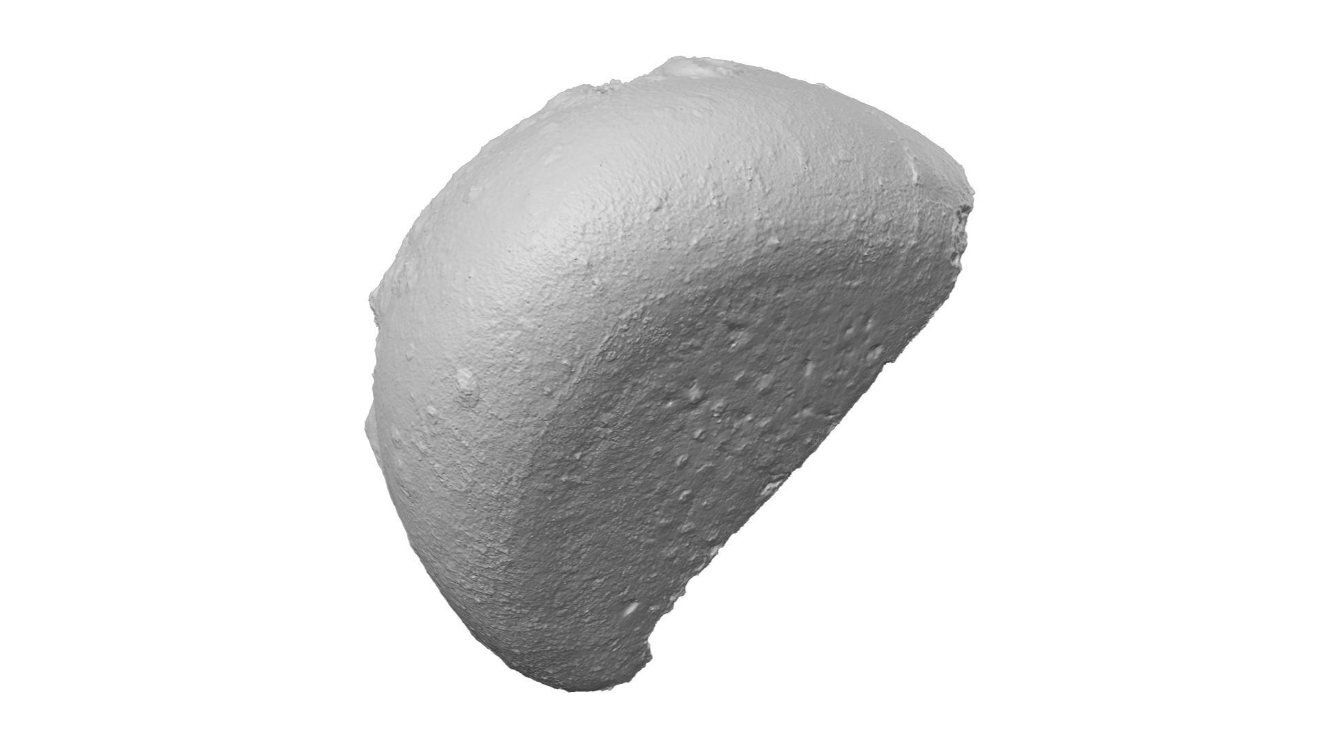 Half a Crusty Round Italian Bread - Extreme Definition Scanned 3D model_9