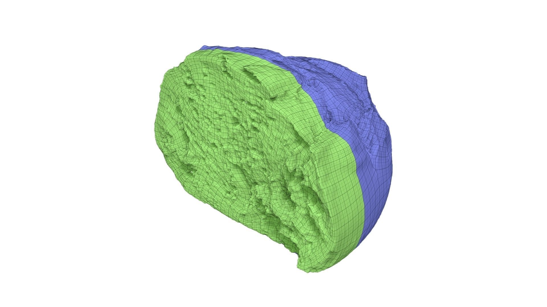 Half a Crusty Round Italian Bread - Extreme Definition Scanned 3D model_6