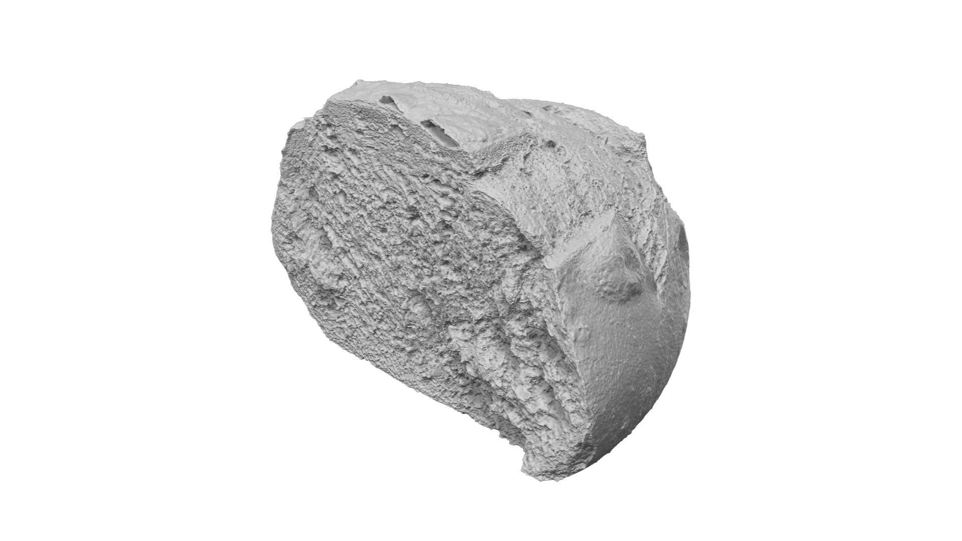 Half a Crusty Round Italian Bread - Extreme Definition Scanned 3D model_2