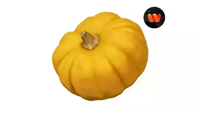 Mini Pumpkin - Extreme Definition Scanned