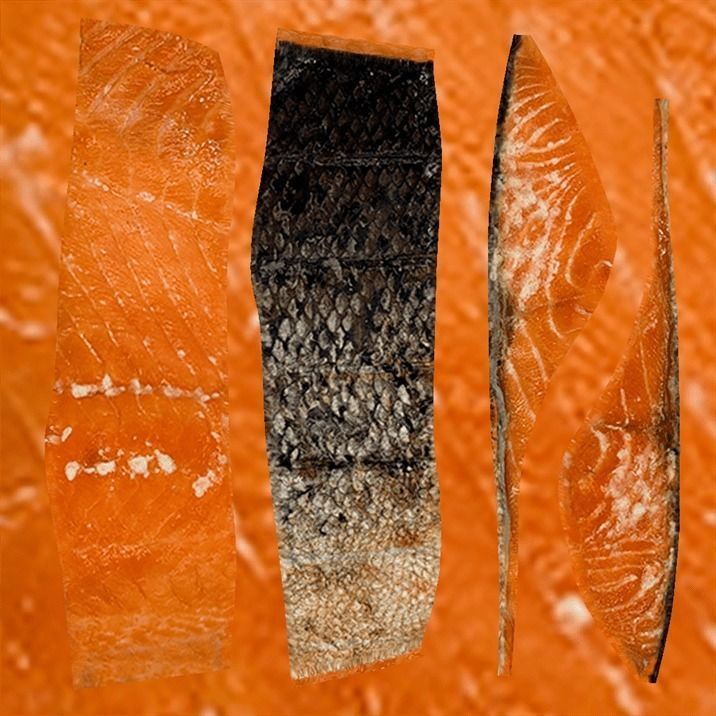 Smoked Salmon 2 3D model_10