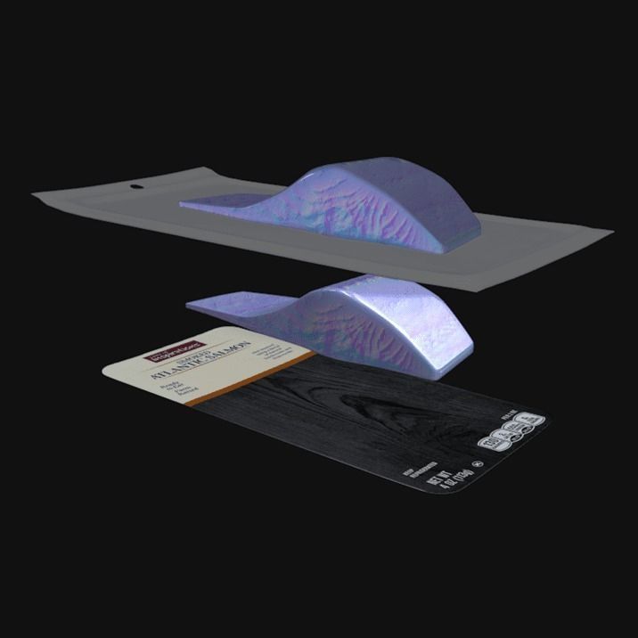 Smoked Salmon 2 3D model_6