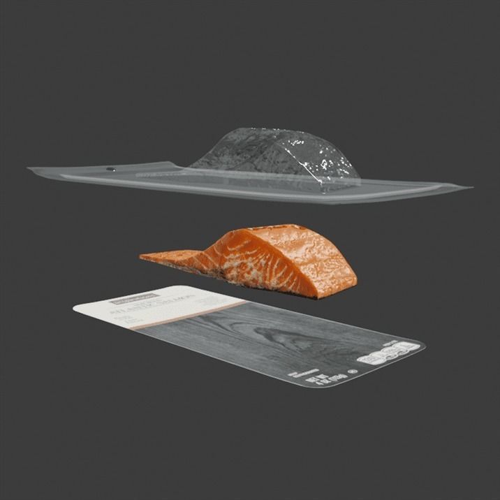 Smoked Salmon 2 3D model_5