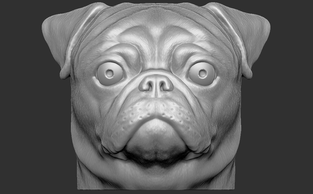 Pug head for 3D printing 3D print model_1