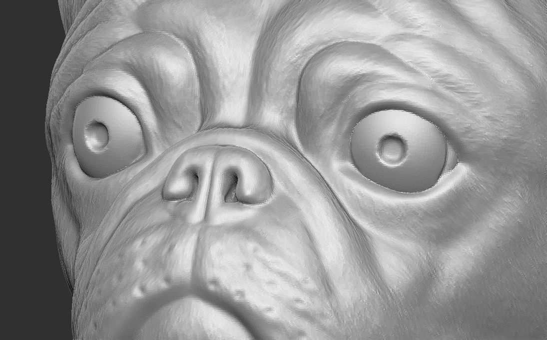 Pug head for 3D printing 3D print model_19