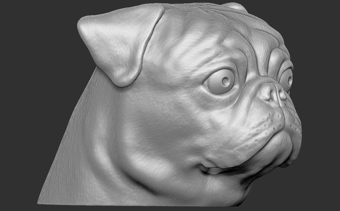 Pug head for 3D printing 3D print model_12