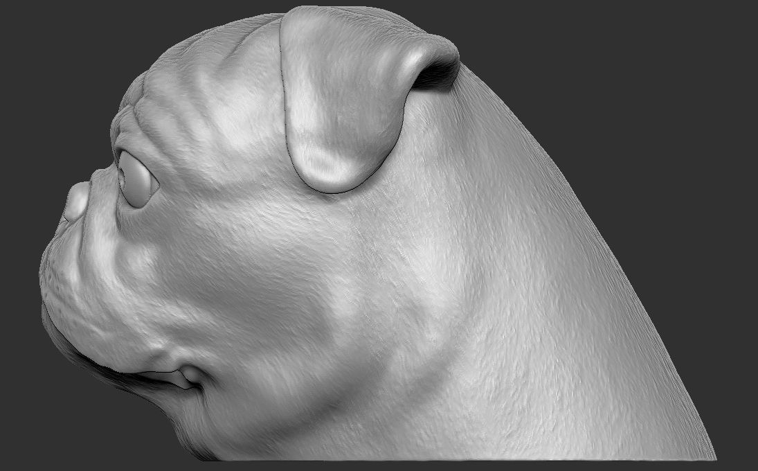 Pug head for 3D printing 3D print model_6