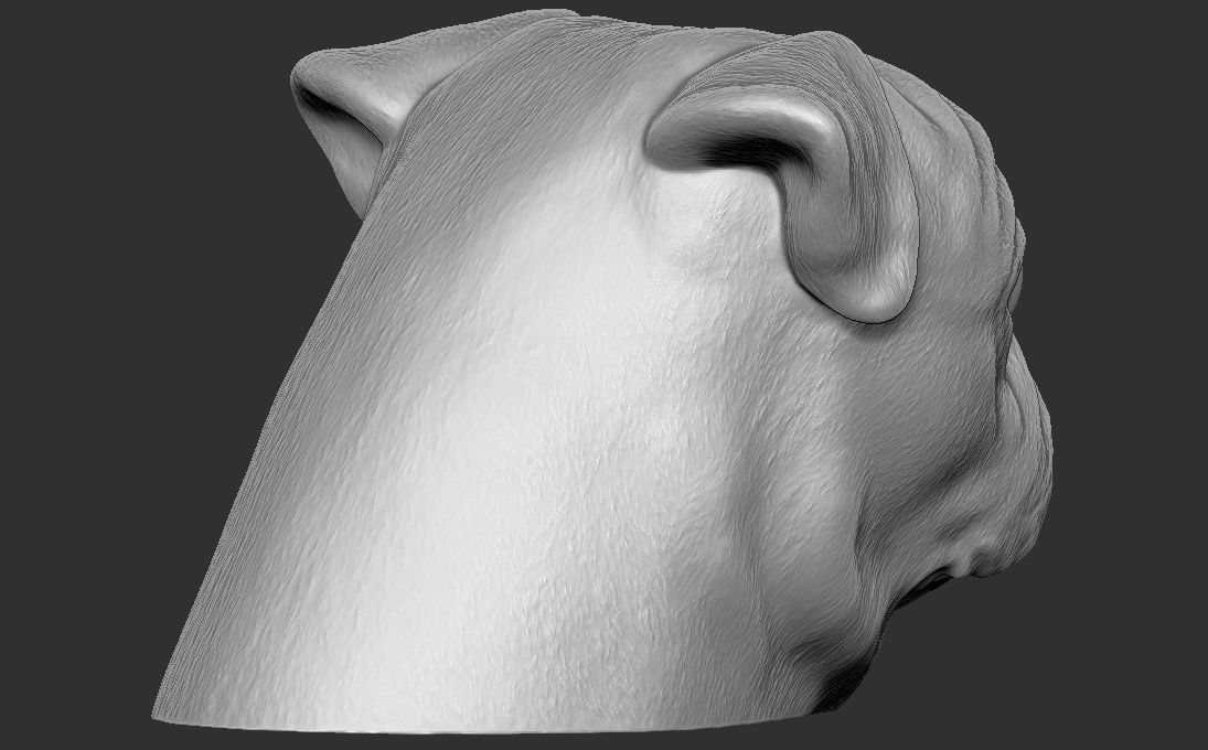Pug head for 3D printing 3D print model_9