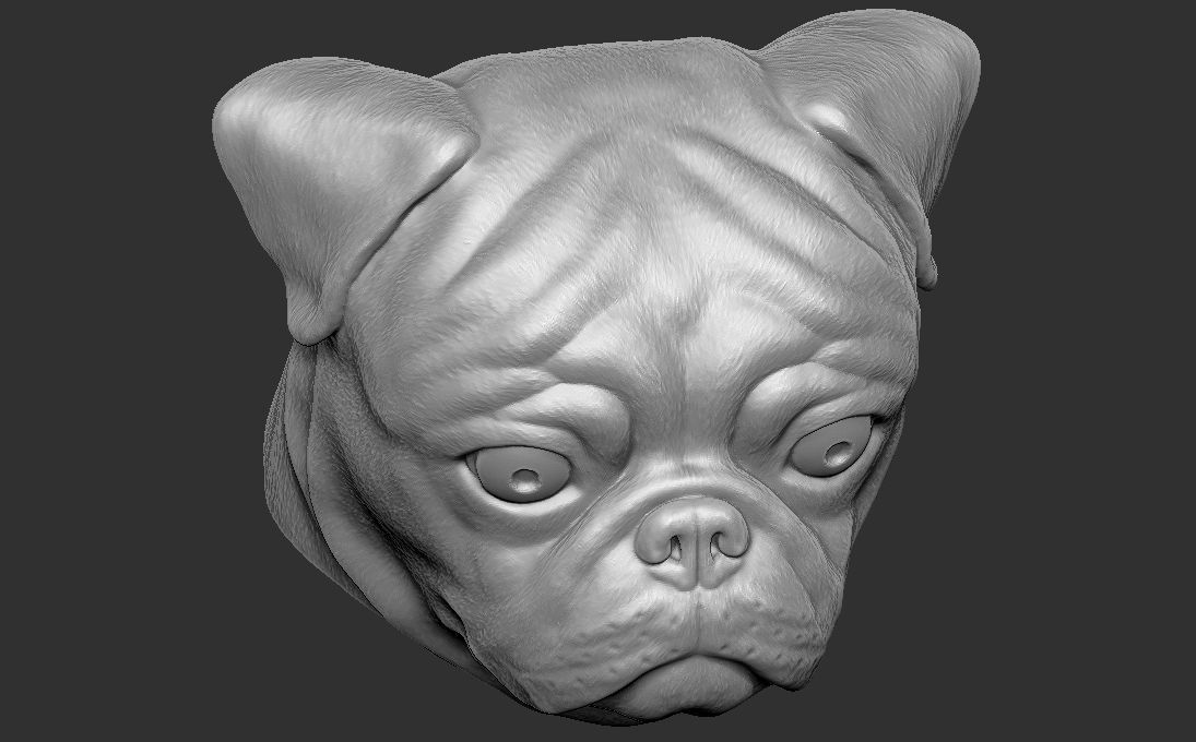 Pug head for 3D printing 3D print model_17