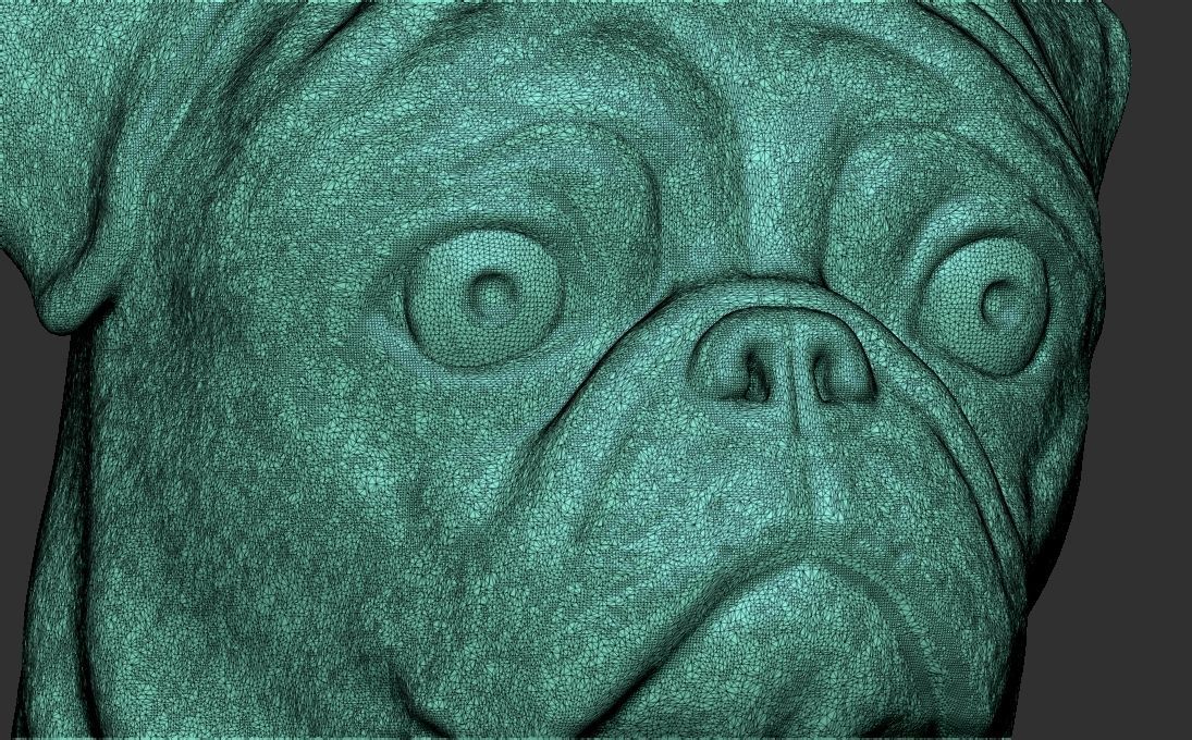 Pug head for 3D printing 3D print model_24