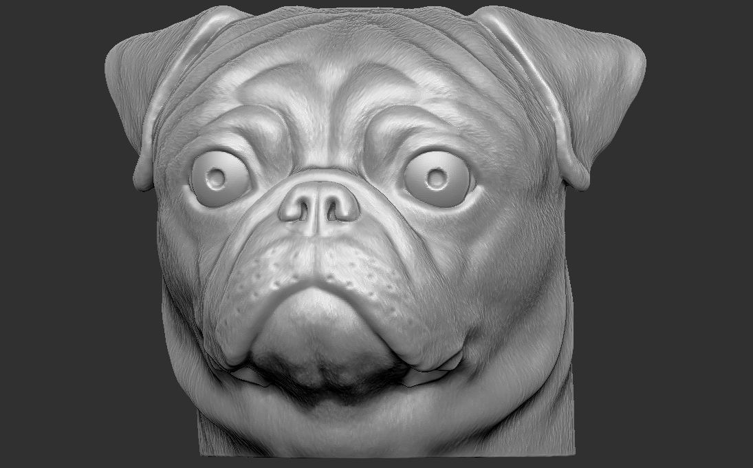 Pug head for 3D printing 3D print model_2