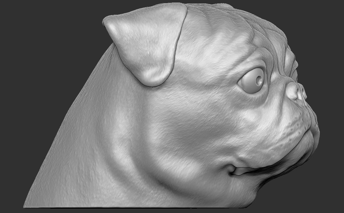 Pug head for 3D printing 3D print model_11