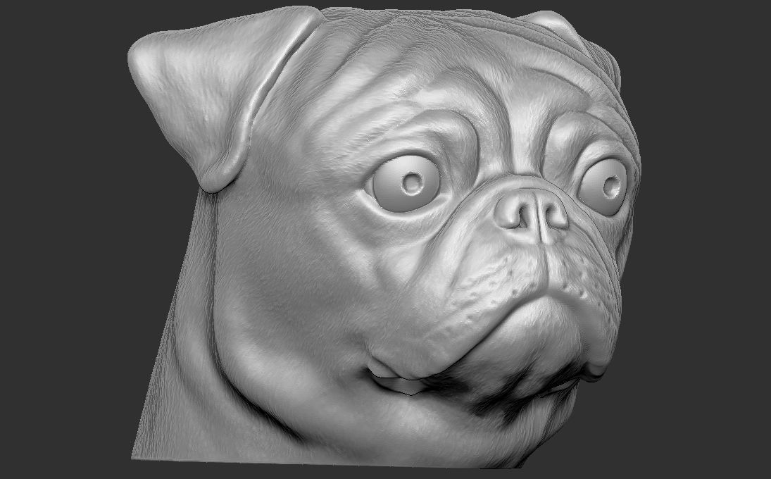 Pug head for 3D printing 3D print model_13