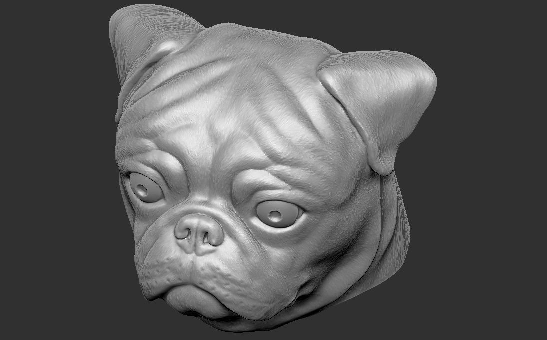 Pug head for 3D printing 3D print model_16