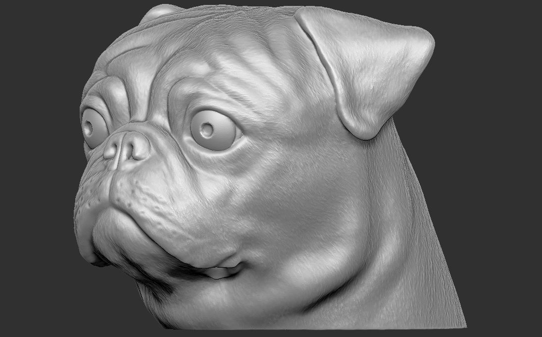 Pug head for 3D printing 3D print model_4