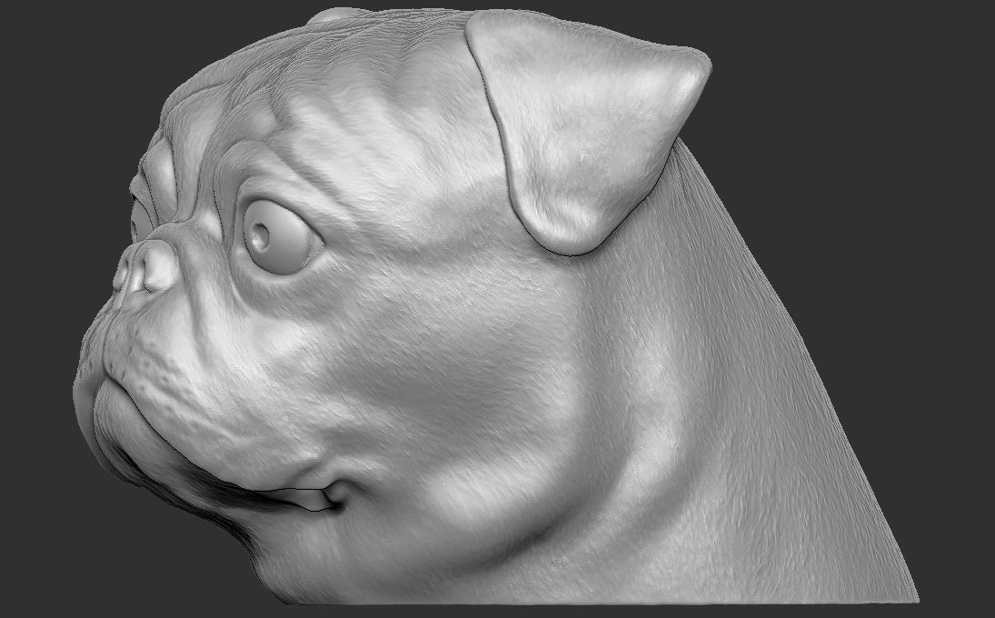 Pug head for 3D printing 3D print model_5