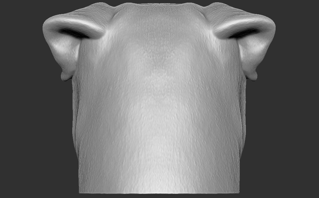 Pug head for 3D printing 3D print model_8