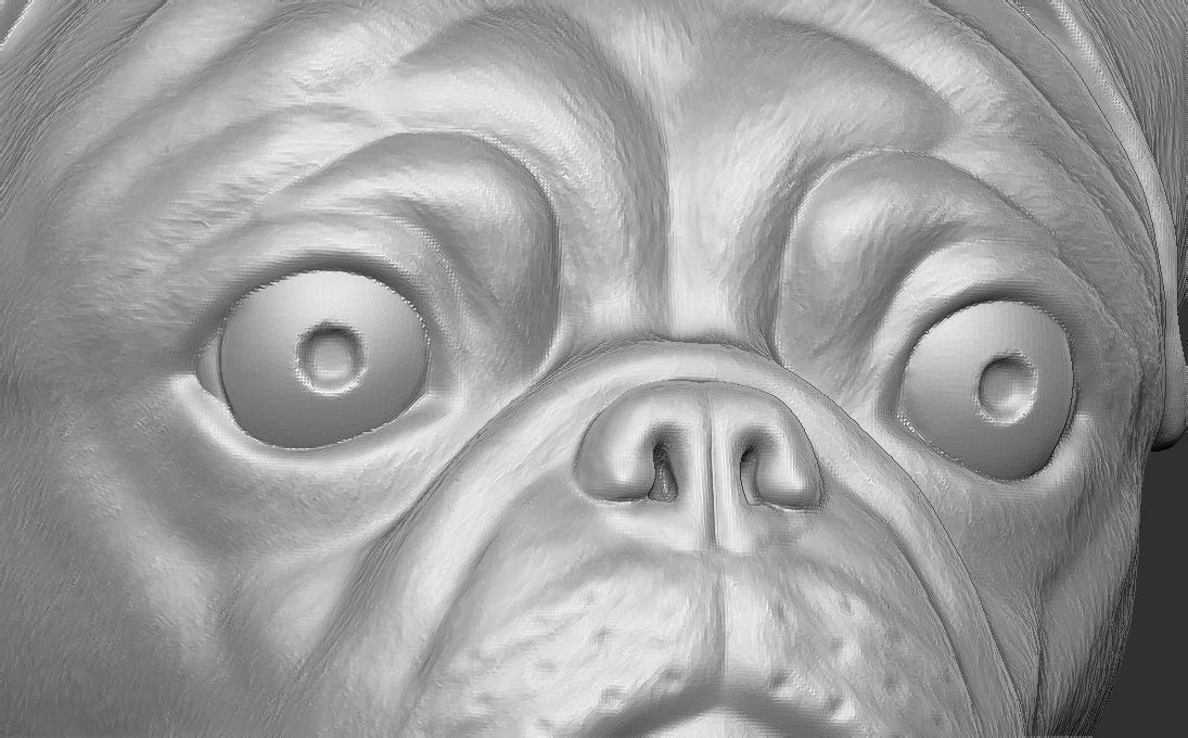 Pug head for 3D printing 3D print model_20