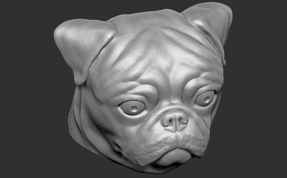 Pug head for 3D printing 3D print model_15