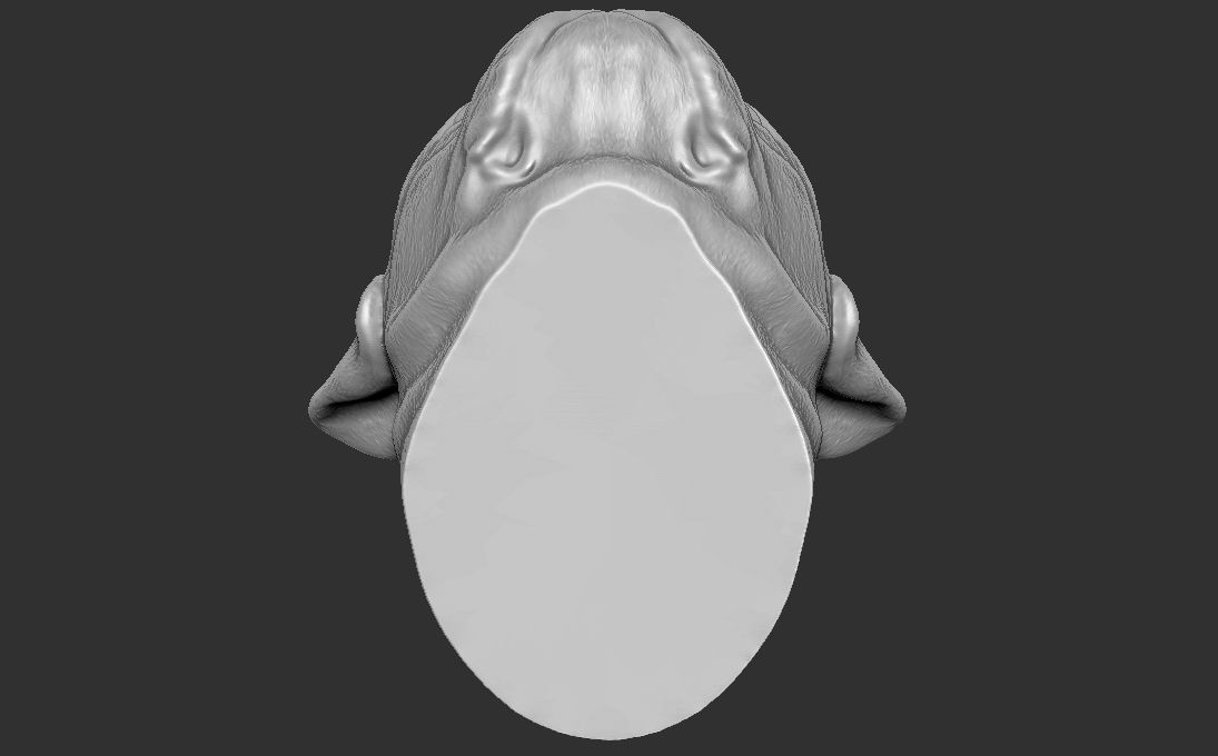 Pug head for 3D printing 3D print model_23