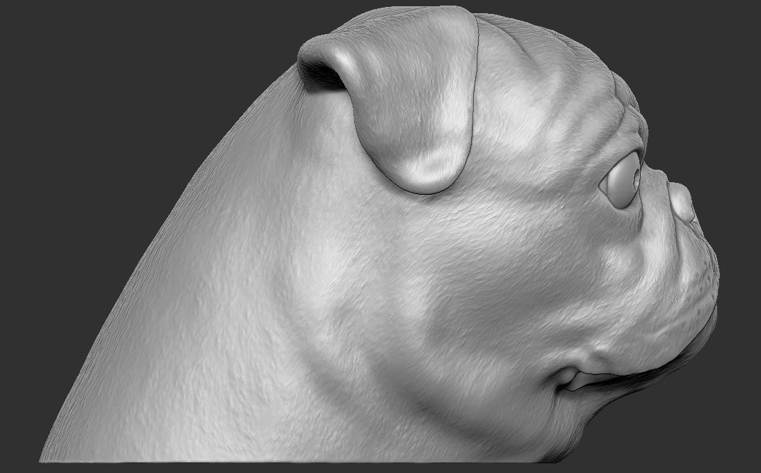 Pug head for 3D printing 3D print model_10
