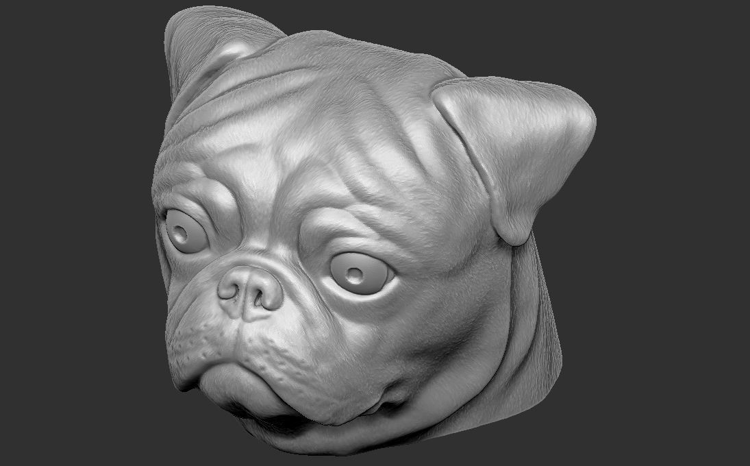 Pug head for 3D printing 3D print model_18