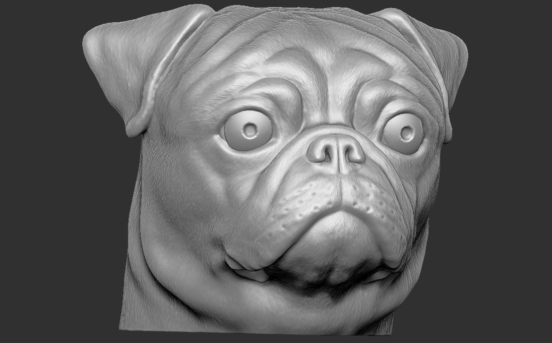Pug head for 3D printing 3D print model_14