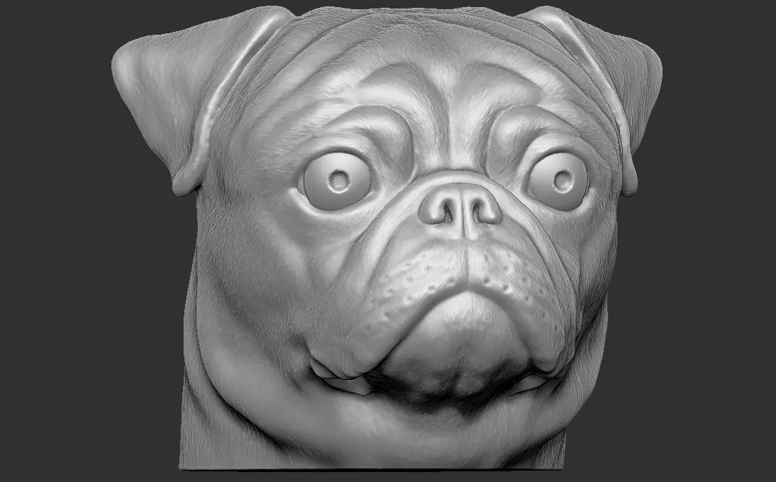 Pug head for 3D printing 3D print model_0