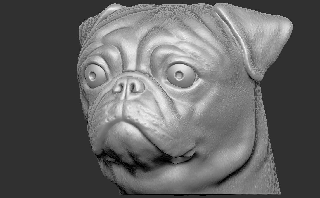 Pug head for 3D printing 3D print model_3