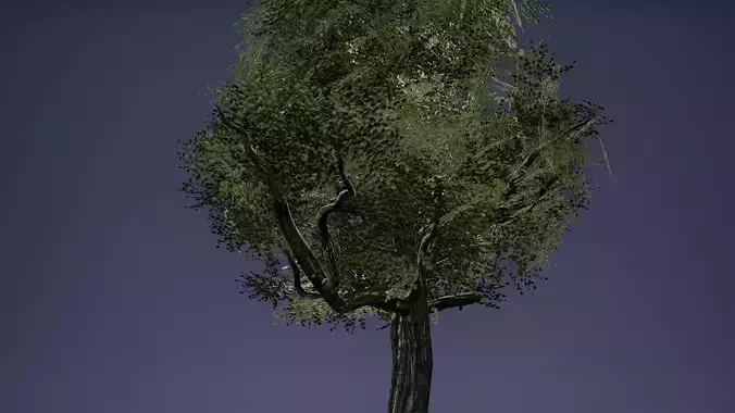 Tree Low Poly Game Ready three trees Low-poly 3D model