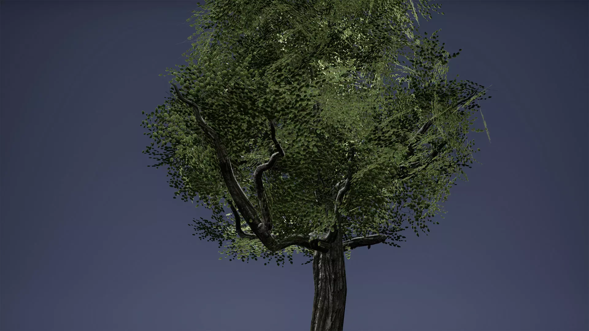 Tree Low Poly Game Ready three trees Low-poly 3D model_0