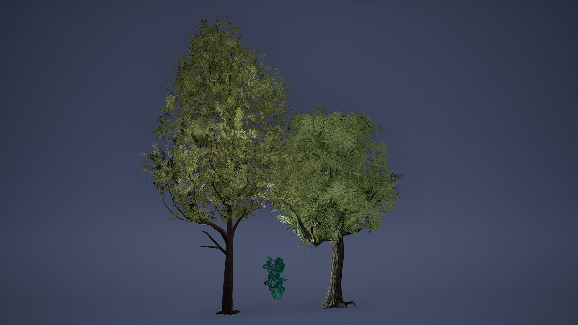 Tree Low Poly Game Ready three trees Low-poly 3D model_1