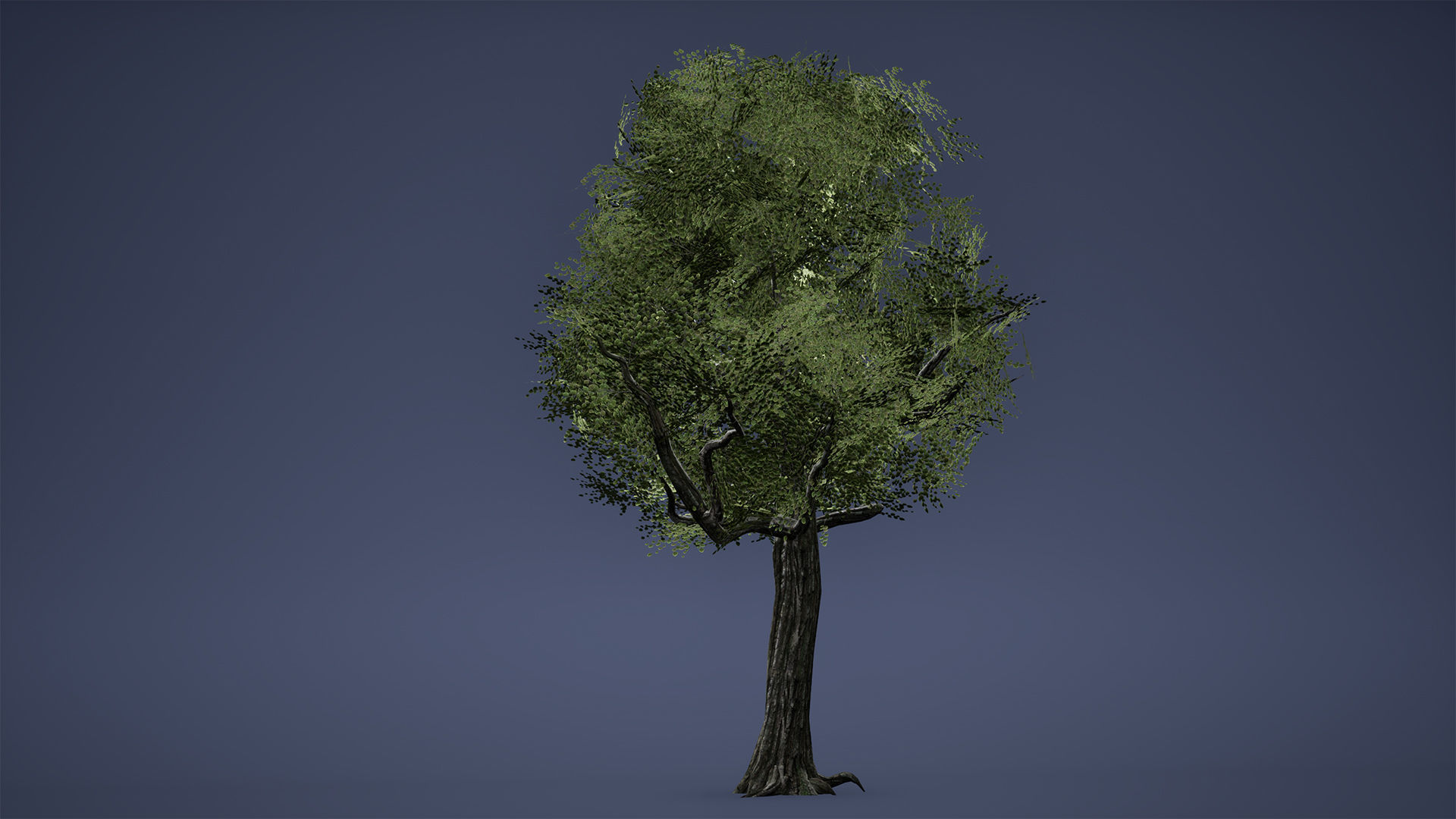 Tree Low Poly Game Ready three trees Low-poly 3D model_2