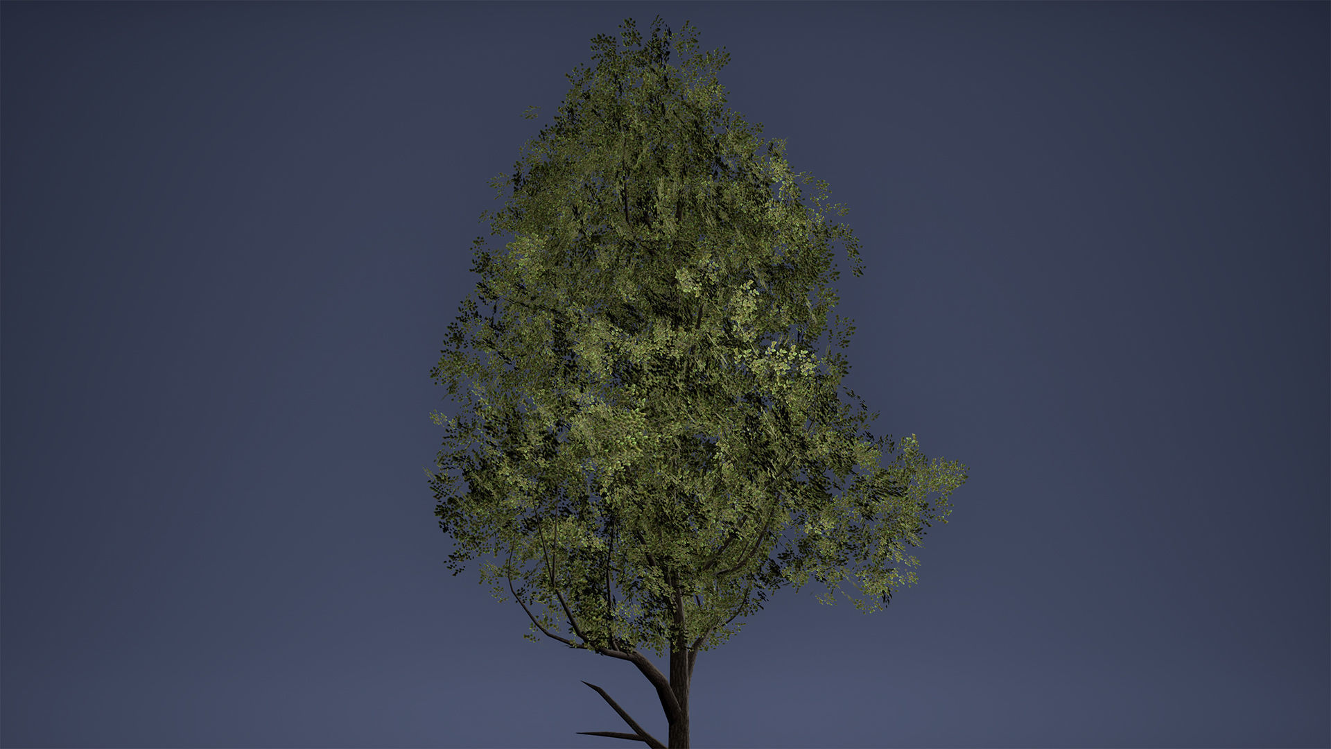 Tree Low Poly Game Ready three trees Low-poly 3D model_4