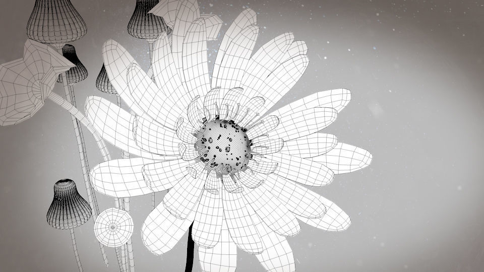 3d Blue Flower Animated 3D model_9