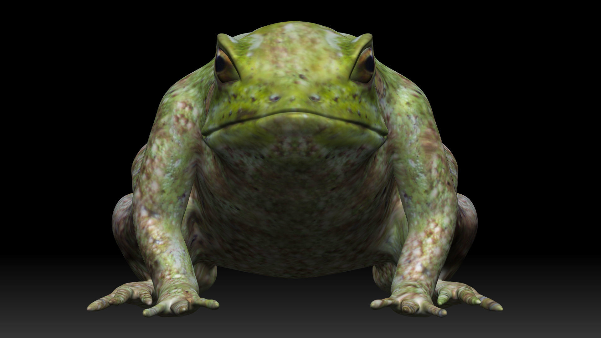 Tree frog green frog Low-poly 3D model_2