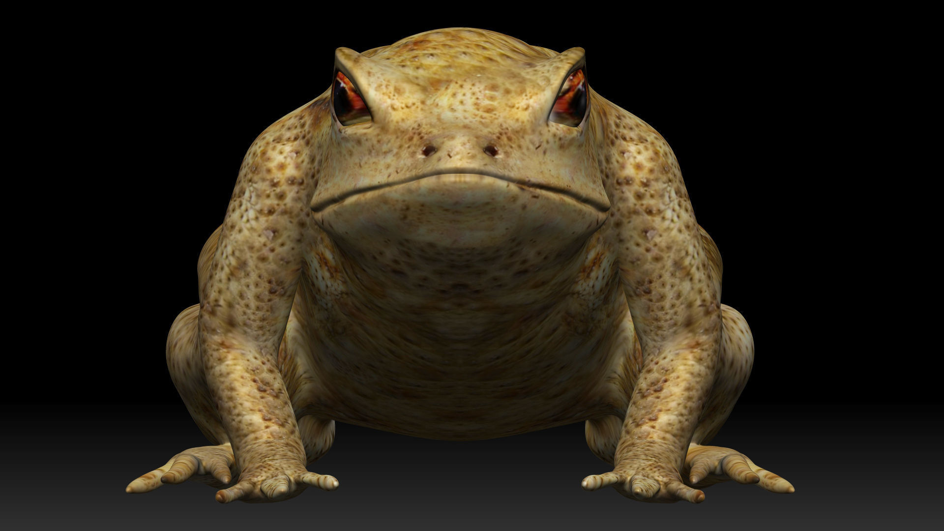 Poison Dart Frog Low-poly 3D model_2