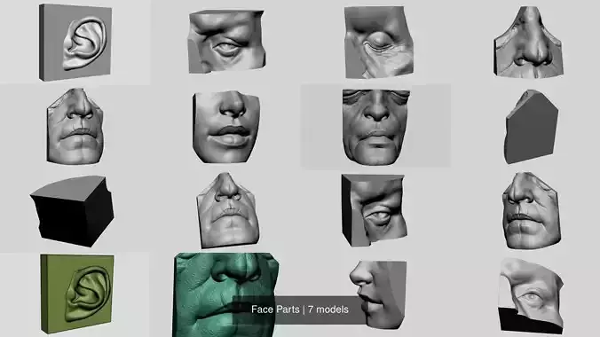 Face Parts 3D Model Collection