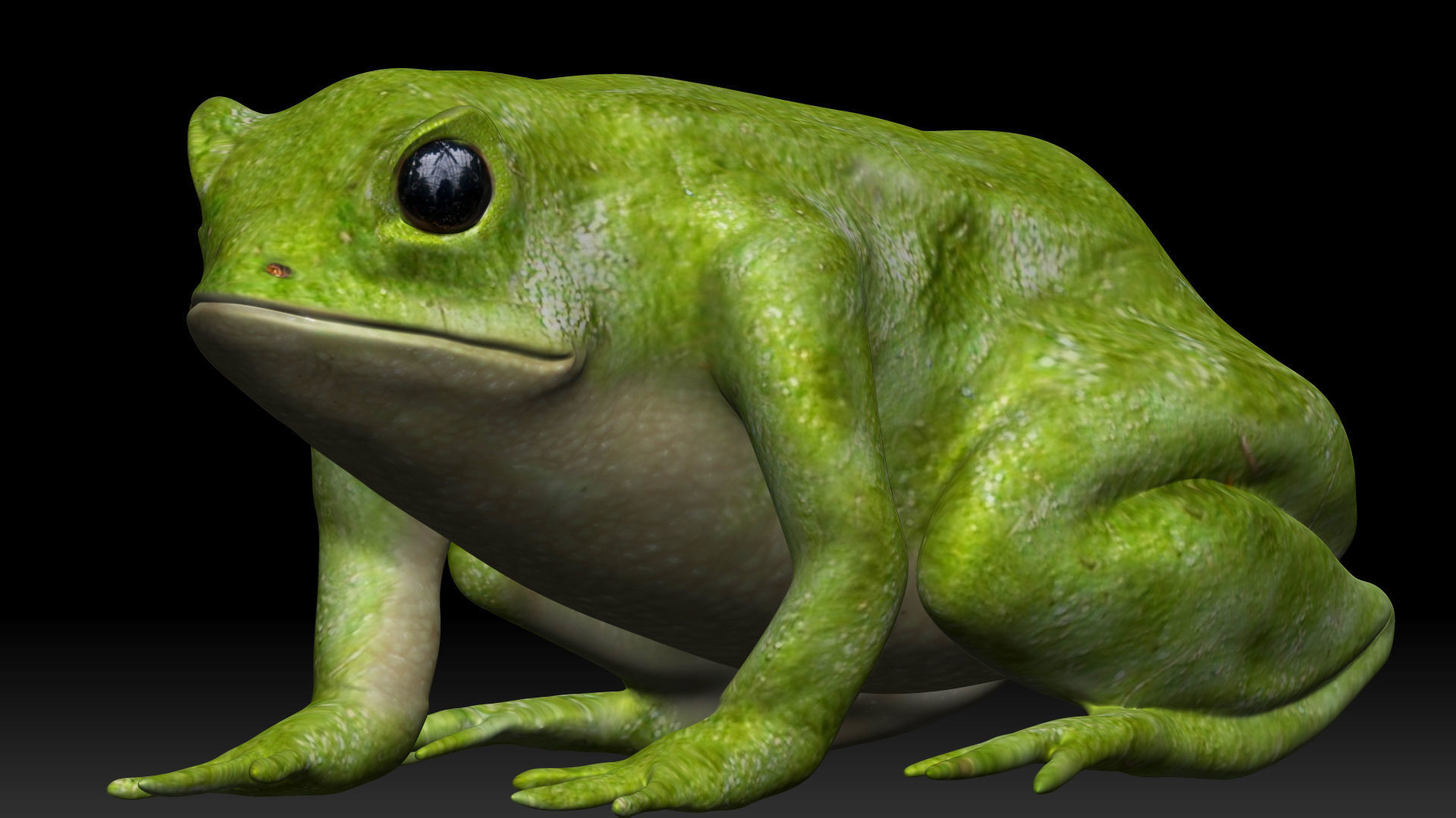 Green frog Low-poly 3D model_2
