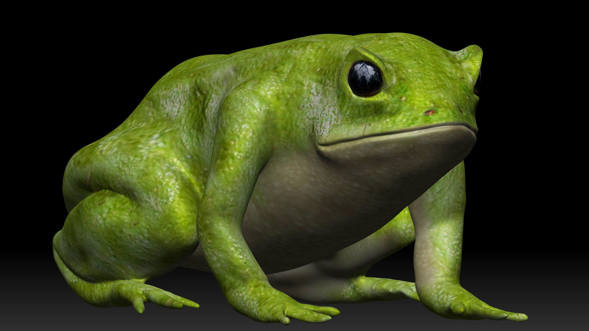 Green frog Low-poly 3D model_3
