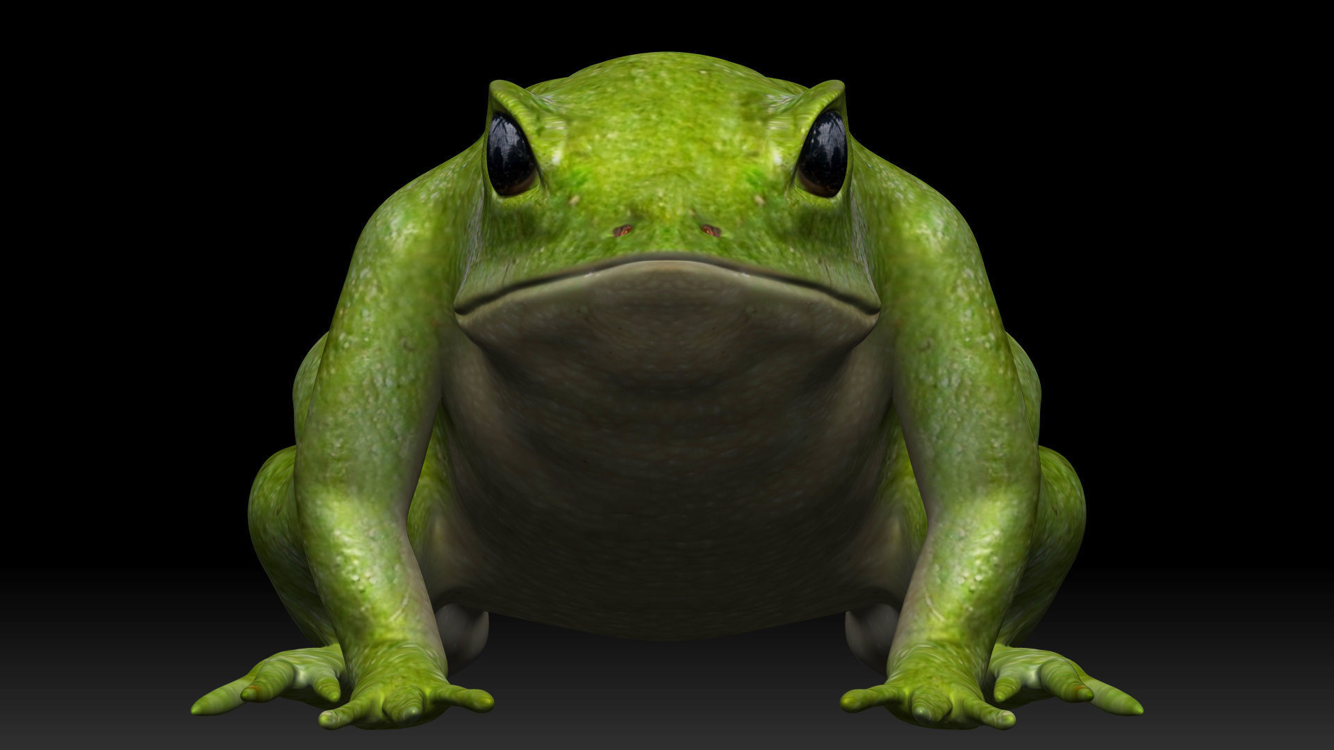 Green frog Low-poly 3D model_1