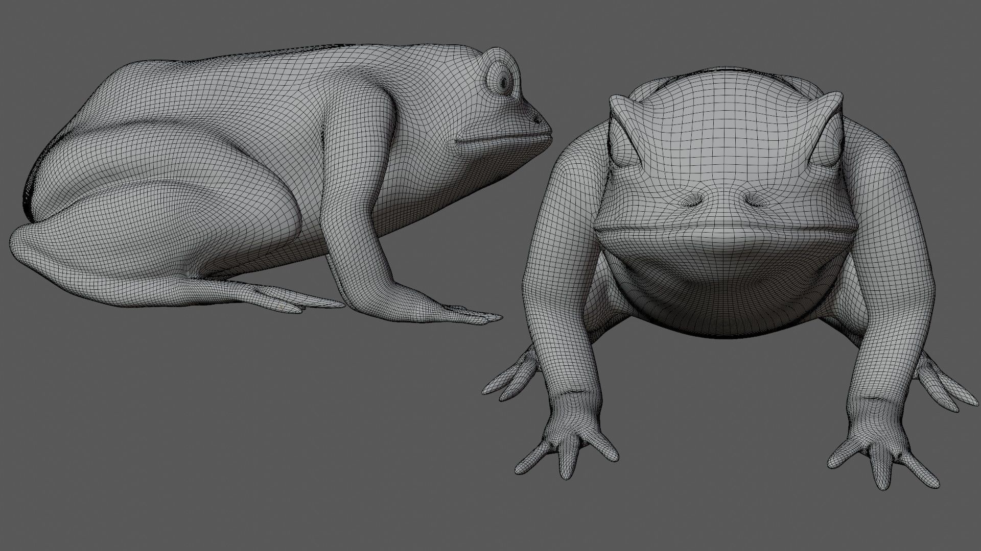 Green frog Low-poly 3D model_7