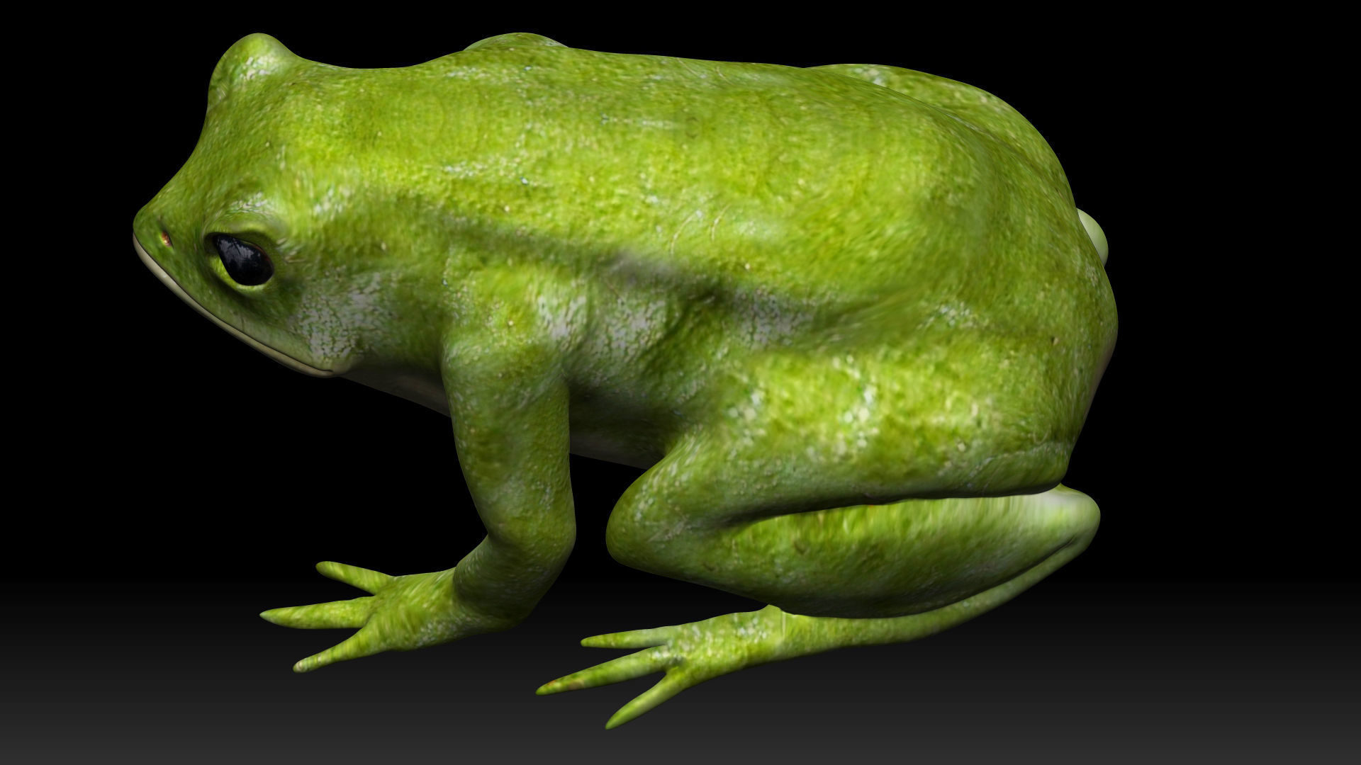 Green frog Low-poly 3D model_5