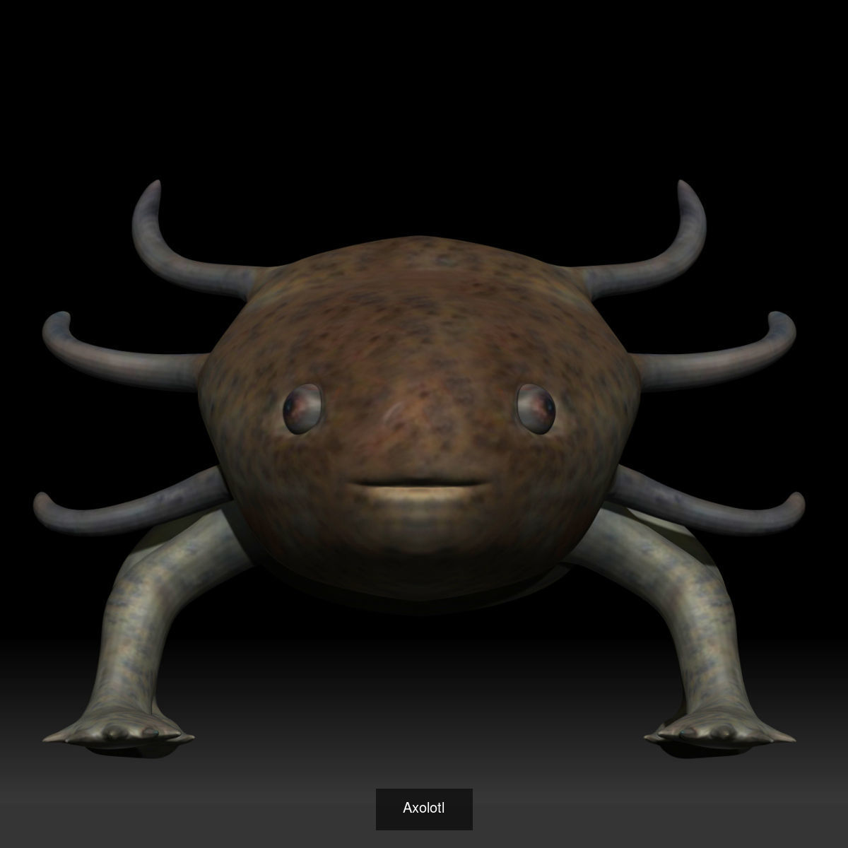 Amphibian frog toad collection _10