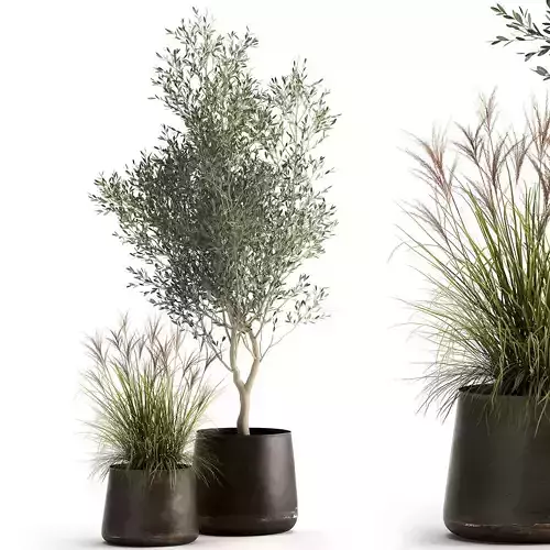 Houseplants in a rusty flowerpot for the interior 974