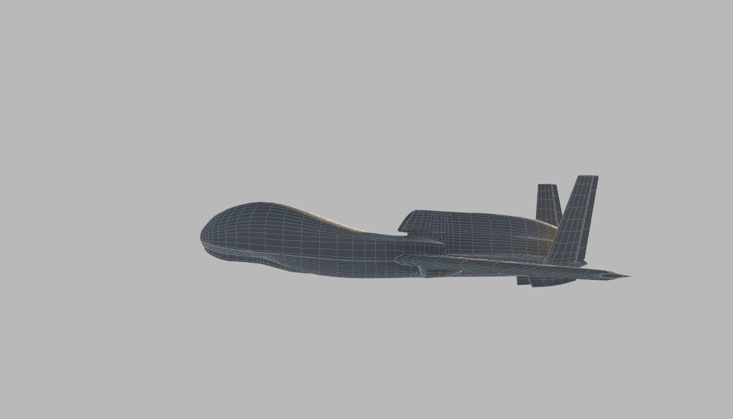 Global Hawk 3D model_8