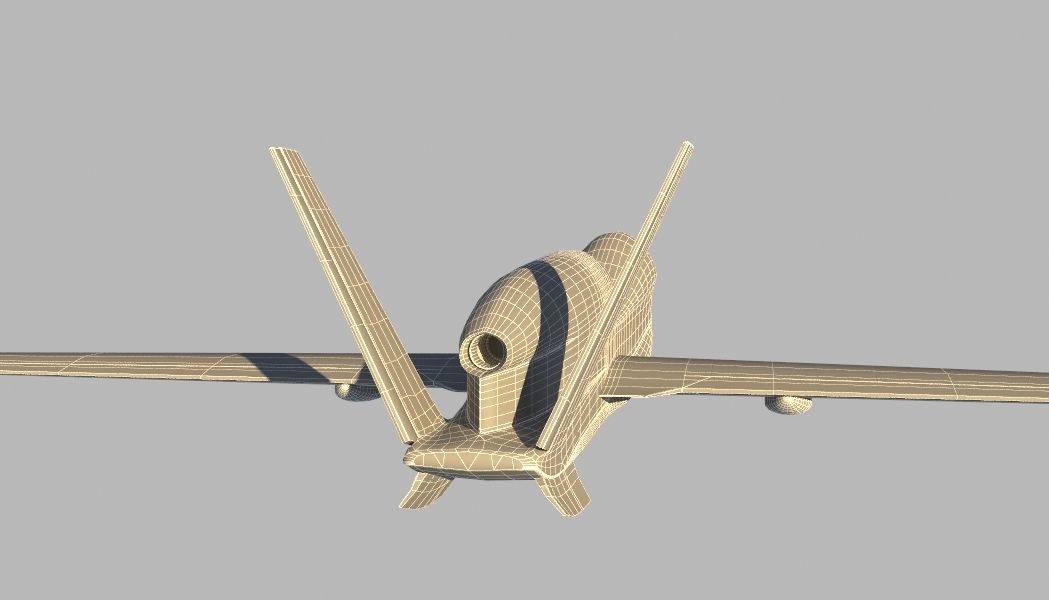 Global Hawk 3D model_6