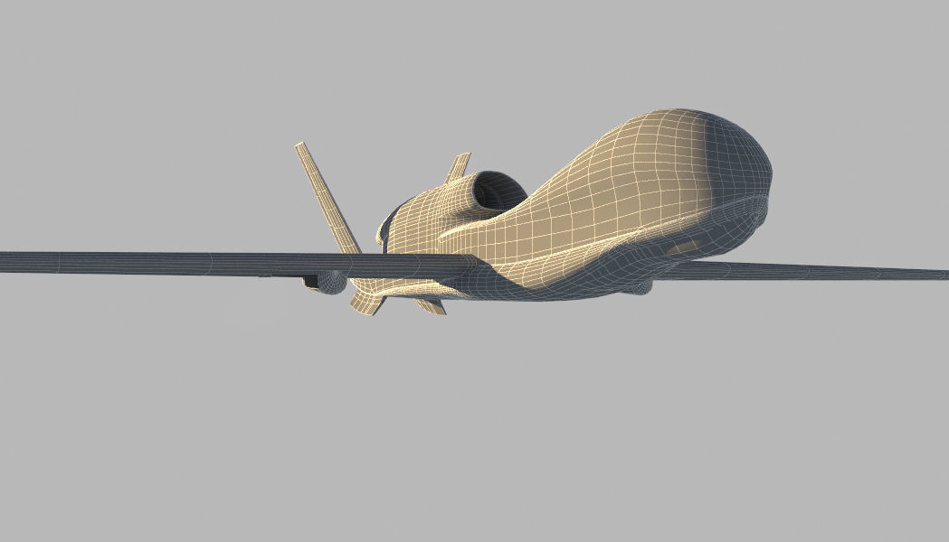 Global Hawk 3D model_5