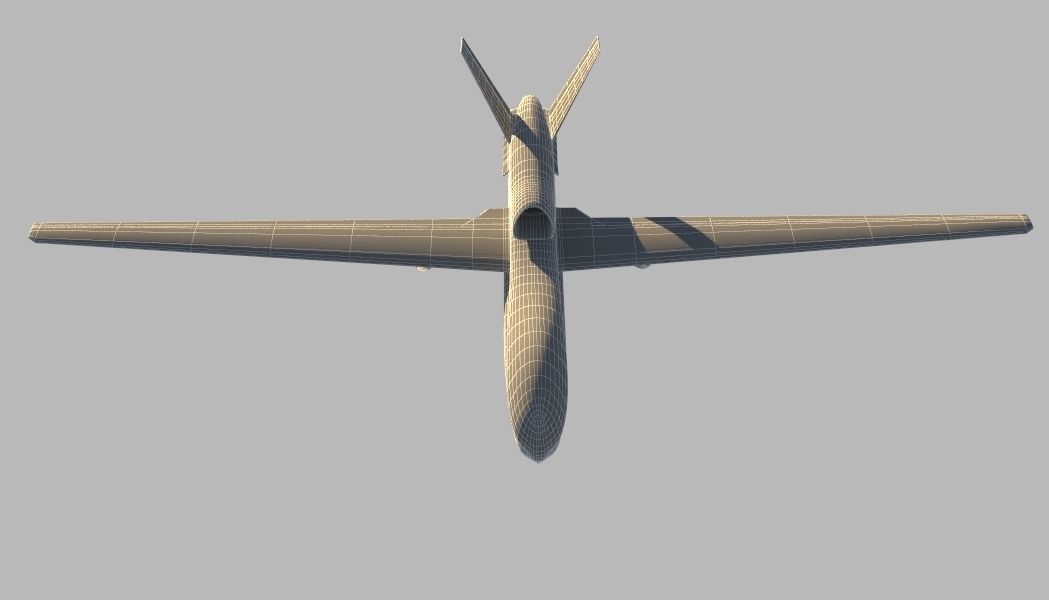 Global Hawk 3D model_7